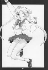 [Sailor Q2] 674 [Sailor Moon]-