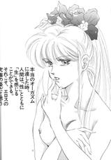 [Y&#039;s Company] Max Relax [Sailor Moon]-