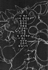 (C91) [Tamanokoshi (tamanosuke)] Nokorimono Niwa Fuku ga Aru !? (Pokémon) [Korean] [LWND]-(C91) [たまのこし (たまのすけ)] のこりものには福がある！？ (ポケットモンスター) [韓国翻訳]