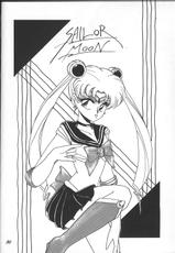 Pussy-Cat Vol. 25 [Sailor Moon]-