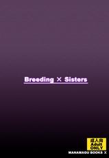 [Manamagu (zen9)] Breeding X Sisters (Soul Calibur) [Korean] [Digital]-[まなまぐ (zen9)] Breeding×Sisters (ソウルキャリバー) [韓国翻訳] [DL版]