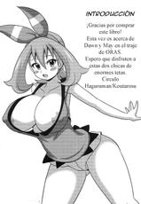 (SC65) [Haguruman (Koutarosu)] Hikari to Haruka no Hon (Pokémon) [Spanish]-(サンクリ65) [はぐるまん (コウタロス)] ヒカリとハルカの本 (ポケットモンスター) [スペイン翻訳]