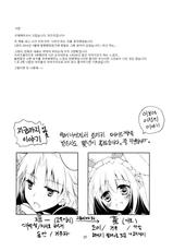 (C89) [FRAC (Motomiya Mitsuki)] Imitation Rabbey 3 [Korean]-(C89) [FRAC (もとみやみつき)] Imitation Rabbey 3 [韓国翻訳]