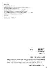 (C93) [BRIEST (Yatsushima Tetsuya)] T2R/13 (Various)-(C93) [BRIEST (八嶋テツヤ)] T2R/13 (よろず)