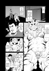 [Bear Tail (Chobikuma)] Toradorei -KEMONO Company 2- | 호랑이 노예 -KEMONO 컴퍼니 2- [Korean] [황달아 사이트 관리를 부랄로 하냐] [Digital]-[べあている (ちょびくま)] 虎奴隷 -KEMONOカンパニー2- [韓国翻訳] [DL版]