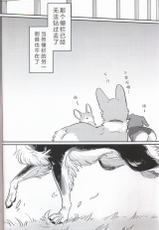 (Kansai! Kemoket 7) [Kaiten ParaDOGs (Diga Tsukune)] Usotsuki Tachi no " " | 讹言者们的“ ” [Chinese] [兔屋汉化组]-(関西!けもケット7) [回転ParaDOGs (奈賀つくね)] 嘘つきたちの『  』 [中国翻訳]
