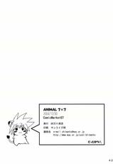 Animal 7X7-