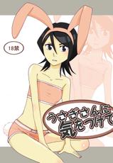 [Kazt] Paying Attention to the Rabbit (Bleach)-
