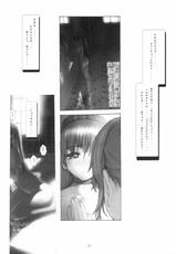 [RST Slave] Kasumi Hard Love 2 ver.2 (Dead or Alive)-