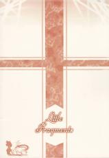 Little Fragments (Kanon)(Passage)-