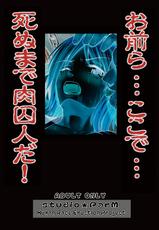 (SC36) [Studio ParM (Kotobuki Utage)] PM 12 Niku Shuujin (One Piece)-(サンクリ36) [Studio★ParM (寿宴)] PM12 肉囚人 (ワンピース)