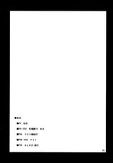 (C81) [04U (Misasagi Tasuku)] Toshimaen 0 (Touhou Project)-(C81) [04U(陵たすく)] 年増艶・0 (東方)