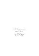 (C81) [Hapoi-Dokoro (Okazaki Takeshi)] Rise Sexualis (Persona 4) (Korean)-(C81) [はぽい処 (岡崎武士)] リセ・セクスアリス (ペルソナ4)  [韓国翻訳]