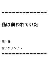 [Crimson (Carmine)] Watashi wa Kaware te i ta (Final Fantasy XIII​) [Digital]-[クリムゾン (カーマイン)] 私は飼われていた (ファイナルファンタジー XIII) [DL版]