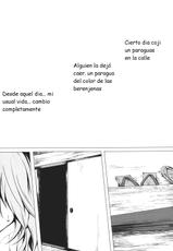 [Susa no Arashi] Parasol Memory (Touhou Project) (Spanish) (Kurotao)-