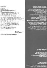 (C82) [Jyaraya (Morishima Petit)] Netoge Yome (Sword Art Online) [Korean]-(C82) [じゃらや (森嶋プチ)] ネトゲヨメ (ソードアート・オンライン) [韓国翻訳]