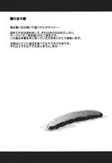 (C82) [Takoyaki-batake] Kyuuri Sommelier (Touhou Project)(chinese)-(C82) (同人誌) [たこ焼き畑] きゅうりソムリエ (東方) (エロ)[公主の假日汉化组]