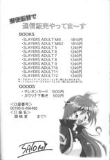 [Ginmomodou (Mita Satomi)] SLAYERS ADULT 12 (Slayers)-[銀桃堂 (みたさとみ)] SLAYERS ADULT 12 (スレイヤーズ)