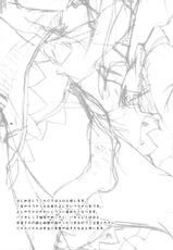 (Reitaisai 10) [Zipper Wrist (Eguchi)] Tough de Katakute Suteki desho? (Touhou Project)-(例大祭10) [ジッパリスト (江口)] タフでカタくて素敵でしょ？ (東方Project)