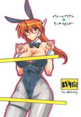 (C73) [King Revolver (Kikuta Kouji)] Bunny no Serio-san (To Heart)-(C73) [キングリボルバー (菊田高次)] バニーのセリオさん (To Heart)