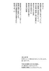 (C85) [Sumeragi Designs (Sumeragi Seisuke)] D4C continue (Touhou Project)-(C85) [皇Designs (皇征介)] D4C continue (東方Project)