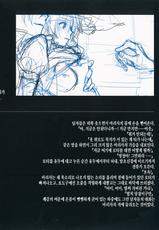 (C86) [Chroma of Wall (saitom)] Gensoukyou Inkou Kirokushuu (Touhou Project) [Korean]-(C86) [壁の彩度 (saitom)] 幻想郷淫行記録集 (東方Project) [韓国翻訳]