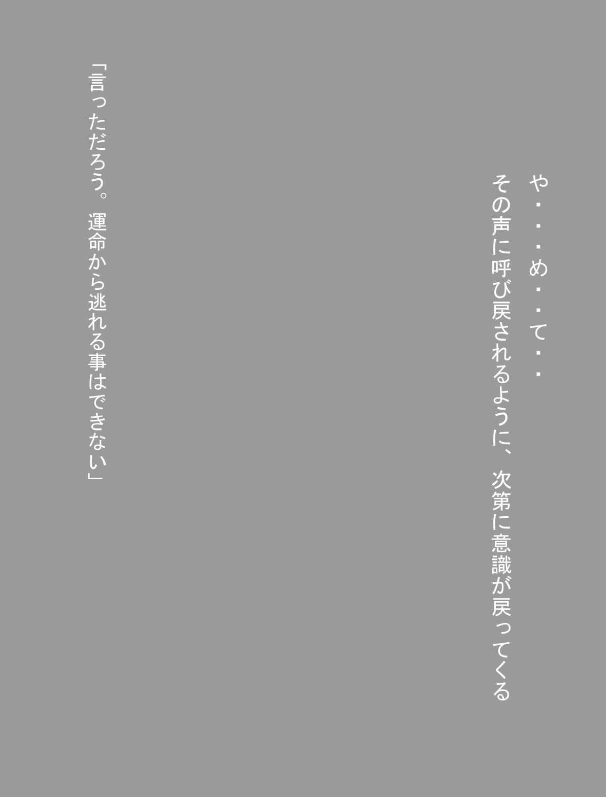 [Miracle Ponchi Matsuri] DRAGON ROAD 13 (Dragon Ball) 