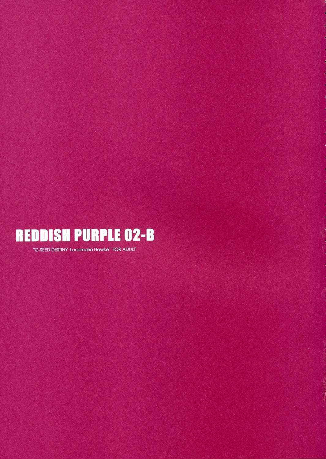 [Suirankaku] Reddish Purple-02B [Gundam Seed Destiny] 