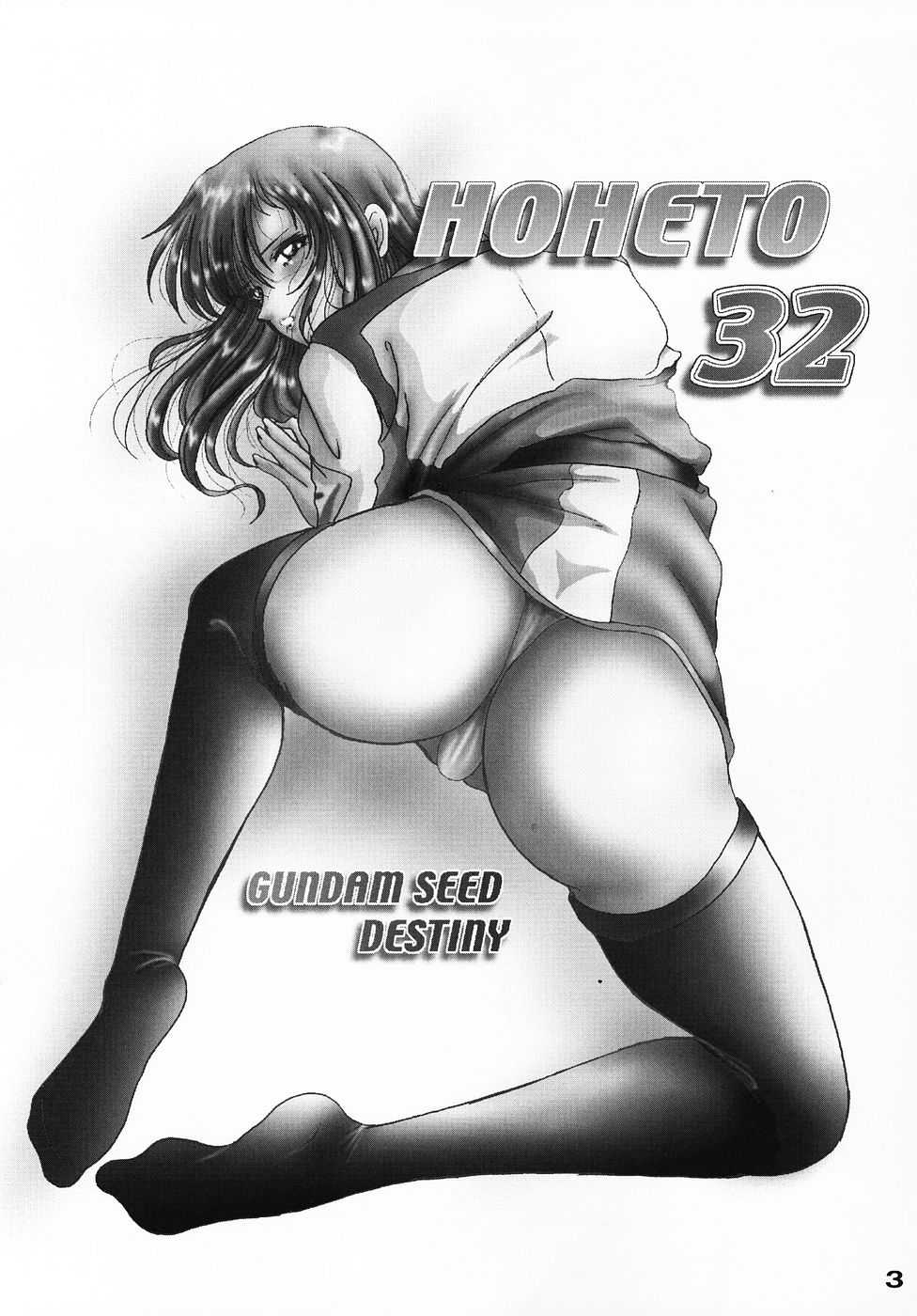 [Studio Boxer] Hoheto 32 [Gundam Seed Destiny] 