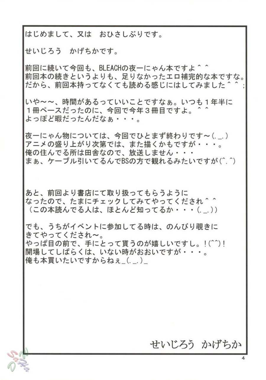 [Great Dadan (Seijirou Kagechika)] Yoruichi Nyan no Hon 2 (Bleach) [English] [ぐれいと・だだん (せいじろう かげちか)] 夜一にゃんの本2 (ブリーチ)