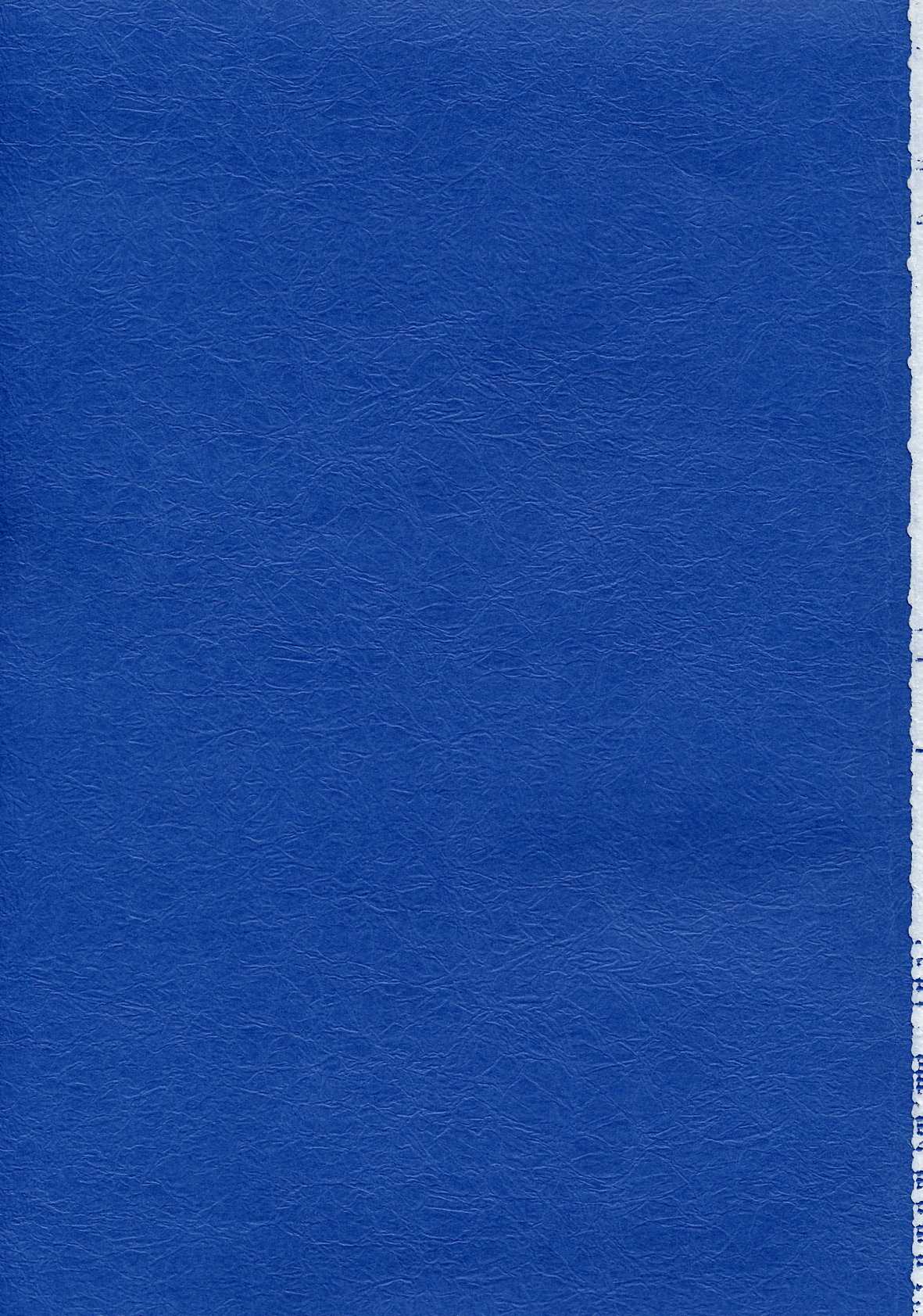 [Lapis Lazuli] Ruridou Gahou CODE 19 (DOAX) 