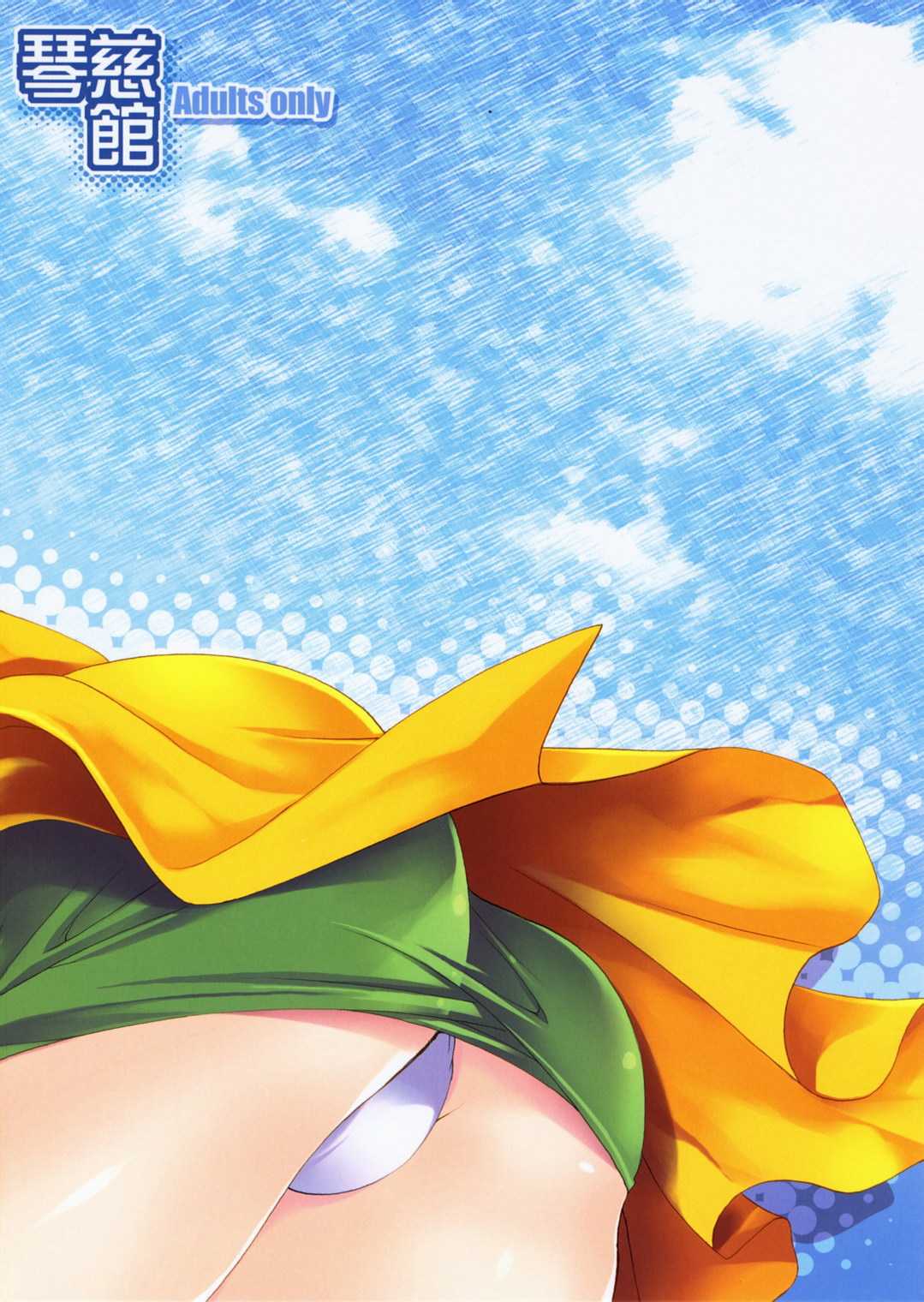 (SC37)[Cotojikan (Cotoji)] Sora Kara Shita (Dragon Quest V) [琴慈館] 天空から下 (ドラゴンクエストV)