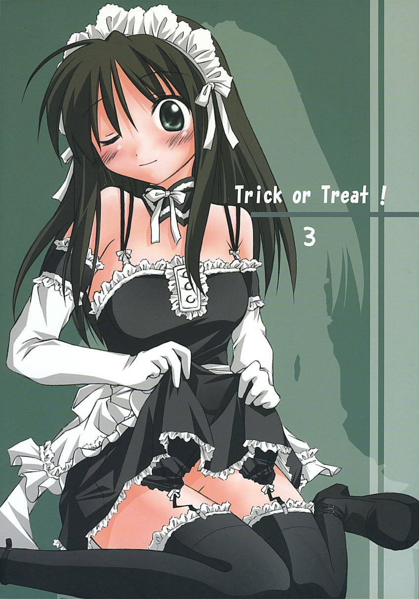 (C68) [Titokara 2nd Branch (Manami Tatsuya)] Trick or Treat! 3 (He Is My Master) (C68) [千歳烏山第2出張所 (真未たつや)] Trick or Treat! 3 (これが私の御主人様)