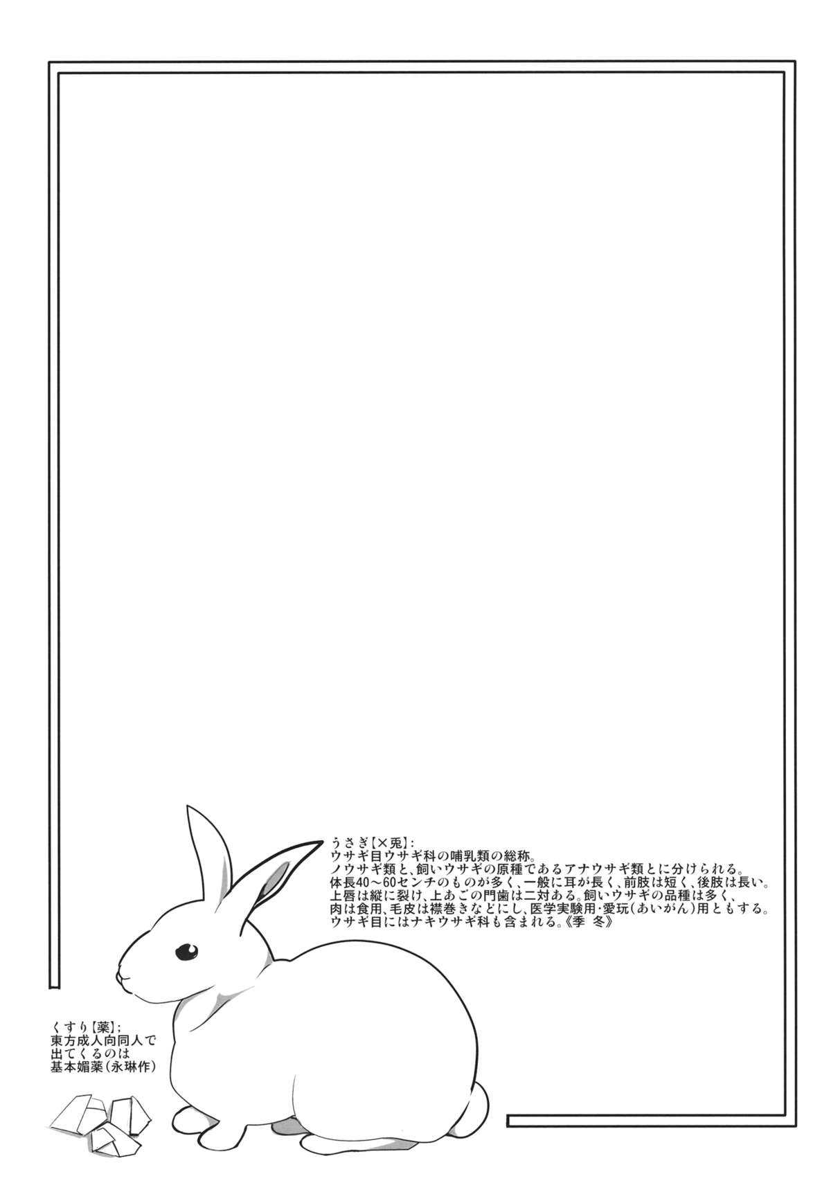 (C82) [Ryokucha Combo (Chameleon)] Usagi no Okusuriyasan (Touhou Project) (C82) [緑茶コンボ (かめれおん)] うさぎのおクスリ屋さん (東方Project)