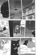 Mitarashi_Kousei__A_Cat_Repaying_Kindness PT-