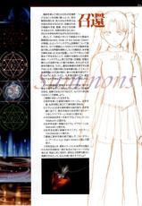 Fate/stay night Premium FanBook-フェイト／ステイナイト　プレミアムファンブック (画集・設定資料集)