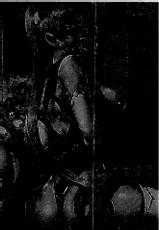 [Tokisana] Midara na Kajitsu no Kuroi Yuuwaku  | 淫蕩的果實之暗黑誘惑 [Chinese]-[トキサナ] 淫らな果実の黒い誘惑 [中国翻訳]
