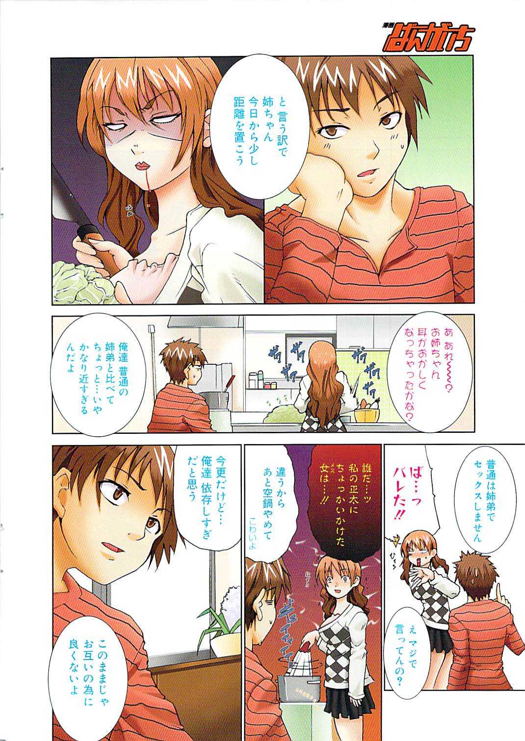 Manga Bangaichi 2009-04 Vol. 236 漫画ばんがいち 2009年4月号 VOL.236