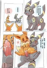 Eevee and Umbreon [Chinese]-あなろぐ - Eevee and Umbreon
