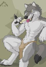 my first yaoi (gay) furry collection-