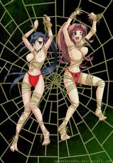spider web galeia-