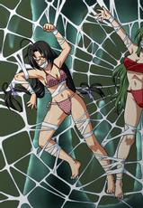 spider web galeia-
