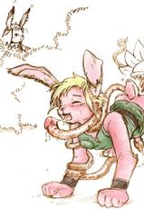Bunny Link-