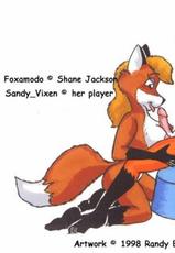 Furry Foxes 2-