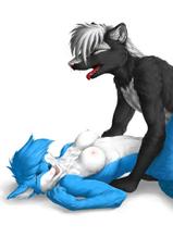 Furry Gallery 4-