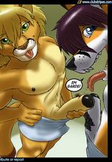Furry Gallery 6-