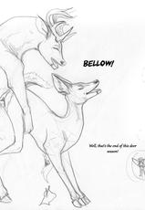 [Arania (Brandon Ondrasek)] Deer Season-
